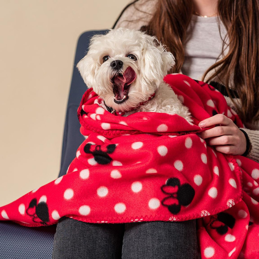 Coperta morbida Disney Minnie - La Emme Creativa